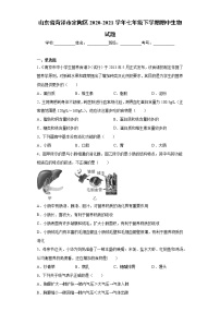 山东省菏泽市定陶区2020-2021学年七年级下学期期中生物试题（word版 含答案）