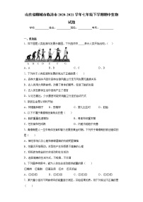 山东省聊城市临清市2020-2021学年七年级下学期期中生物试题（word版 含答案）