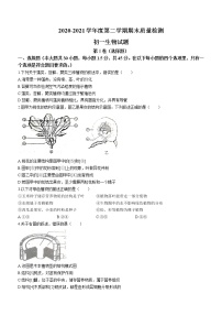 山东省青岛莱西市（五四制）2020-2021学年六年级下学期期末生物试题（word版 含答案）