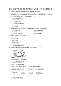 2020-2021学年湖北省孝感市孝南区七年级下学期期末生物试卷（word版 含答案）