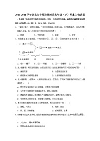 2020-2021学年湖北省十堰市郧西县七年级（下）期末生物试卷（WORD版，含答案）