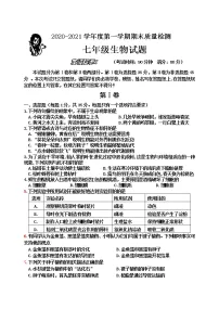 山东省青岛市城阳区2020-2021学年七年级上学期期末考试生物试题(word版,含答案)