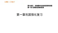 初中生物人教版 (新课标)八年级下册第七单元 生物圈中生命的延续和发展综合与测试复习ppt课件