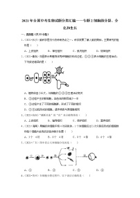 （word版附解析）细胞的分裂、分化和生长——2021年全国中考生物试题分类汇编