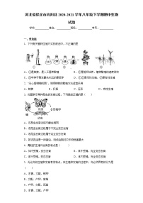 河北省保定市高阳县2020-2021学年八年级下学期期中生物试题（word版 含答案）