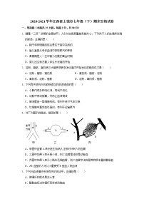 2020-2021学年江西省上饶市七年级下学期期末生物试卷（word版 含答案）