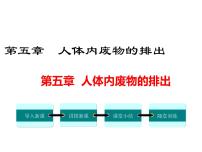 初中生物人教版 (新课标)七年级下册第五章 人体内废物的排出示范课课件ppt