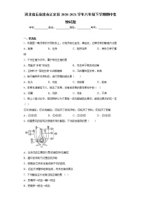 河北省石家庄市正定县2020-2021学年八年级下学期期中生物试题(word版 含答案)