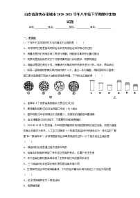 山东省潍坊市诸城市2020-2021学年八年级下学期期中生物试题（word版 含答案）