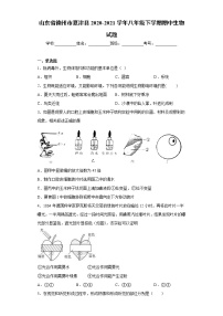 山东省德州市夏津县2020-2021学年八年级下学期期中生物试题（word版 含答案）