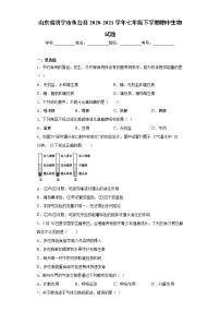 山东省济宁市鱼台县2020-2021学年七年级下学期期中生物试题（word版 含答案）