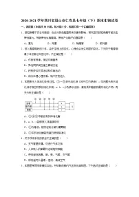 2020-2021学年四川省眉山市仁寿县七年级（下）期末生物试卷 解析版