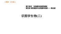 人教版七年级上册生物习题课件 第3单元 识图学生物(二)