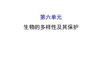 2021-2022学年人教版生物中考复习之生物的多样性及其保护课件PPT