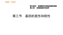 初中生物人教版 (新课标)八年级下册第七单元 生物圈中生命的延续和发展综合与测试习题ppt课件
