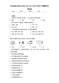 河北省秦皇岛市卢龙县2020-2021学年八年级下学期期中生物试题（word版 含答案）