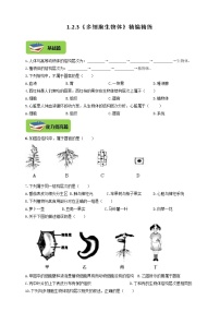 初中生物冀教版七年级上册第三节 多细胞生物体课后练习题