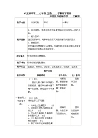 初中生物冀教版七年级上册第四节 软体动物教案设计