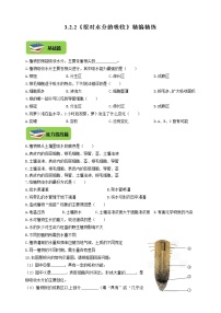 初中生物冀教版八年级上册第二节  根对水分的吸收精练