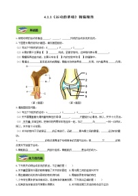 生物八年级上册第一节 运动的基础课堂检测