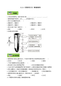 冀教版八年级上册第一节  根的生长随堂练习题