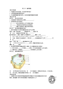 初中生物人教版 (新课标)七年级上册第二节 植物细胞学案设计