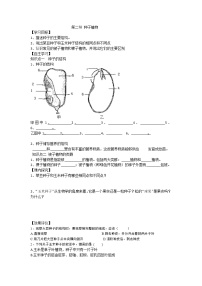 生物七年级上册第三单元 生物圈中的绿色植物第一章 生物圈中有哪些绿色植物第二节 种子植物导学案