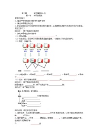 初中生物人教版 (新课标)七年级上册第三单元 生物圈中的绿色植物第二章 被子植物的一生第一节 种子的萌发导学案