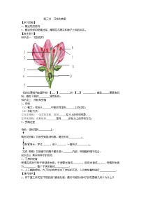 初中生物人教版 (新课标)七年级上册第三节 开花和结果免费导学案及答案