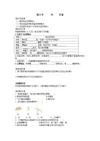 初中生物第五单元 生物圈中的其他生物第一章   动物的主要类群第六节   鸟免费导学案及答案