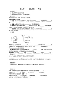 初中人教版 (新课标)第七节   哺乳动物免费学案及答案