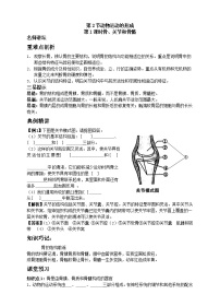 北师大版八年级上册第五单元  生物圈中的动物和微生物第15章  动物的运动第2节  动物运动的形成优质第1课时学案设计