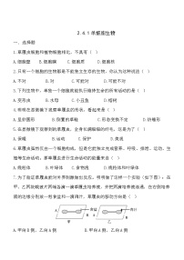 生物第一节 单细胞生物课时训练