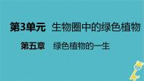 初中生物苏教版七年级上册第三节 植物生长需要水和无机盐教学演示ppt课件