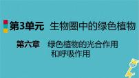 苏教版七年级上册第二节 植物光合作用的场所图文ppt课件