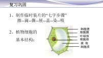 初中生物人教版 (新课标)七年级上册第三节 动物细胞优秀课件ppt