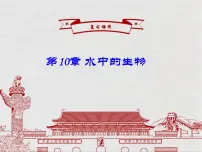 初中生物苏科版七年级下册第10章 水中的生物综合与测试复习ppt课件