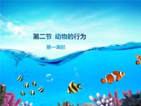 2021学年第九章 生物的运动和行为第二节 动物的行为授课课件ppt