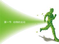 初中生物北京版八年级上册第一节 动物的运动授课ppt课件