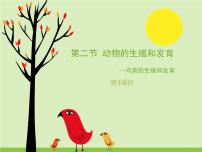 北京版八年级上册第二节 动物的生殖和发育授课课件ppt