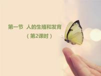 初中生物北京版八年级上册第十章 生物的生殖和发育第一节 人的生殖和发育教课ppt课件