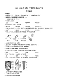 河南省洛阳市嵩县2020-2021学年七年级上学期期末生物试题(word版含答案)