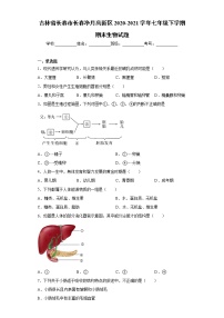 吉林省长春市长春净月高新区2020-2021学年七年级下学期期末生物试题（word版 含答案）