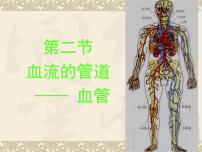 初中生物人教版 (新课标)七年级下册第二节 血流的管道──血管教案配套ppt课件