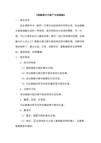 七年级上册第一节 细胞通过分裂产生新细胞优秀教案