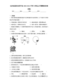 山东省滨州市邹平市2020-2021学年七年级上学期期末生物试题（word版 含答案）