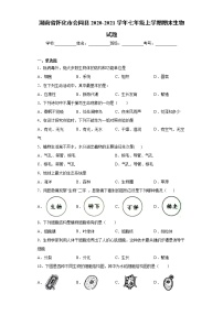 湖南省怀化市会同县2020-2021学年七年级上学期期末生物试题（word版 含答案）