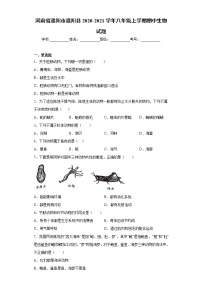 河南省濮阳市濮阳县2020-2021学年八年级上学期期中生物试题（word版 含答案）