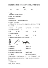 河南省濮阳市濮阳县2020-2021学年八年级上学期期中生物试题(word版 含答案)