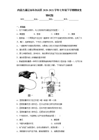 内蒙古通辽市科尔沁区2020-2021学年七年级下学期期末生物试题-（word版 含答案）